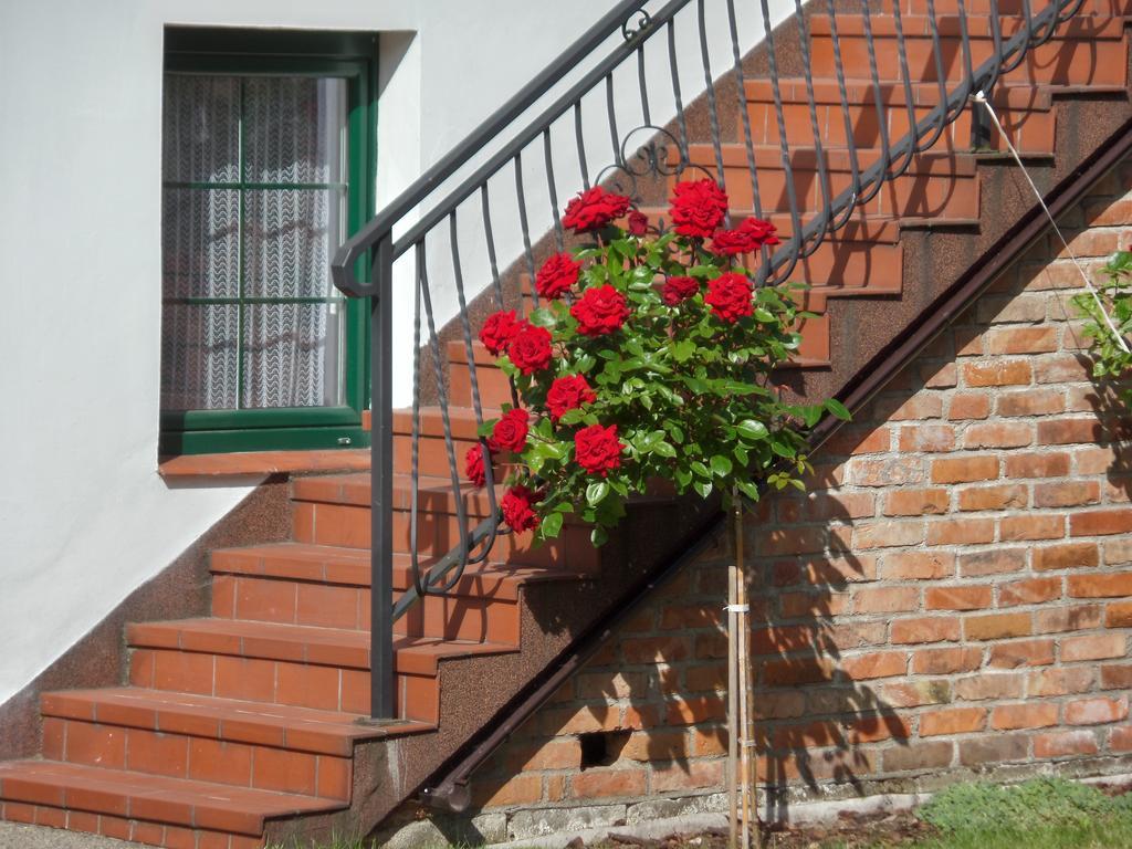 Apartament Stara Jabłoń Łeba Zewnętrze zdjęcie